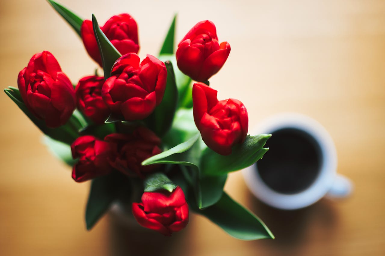 Happy International Women’s Day!