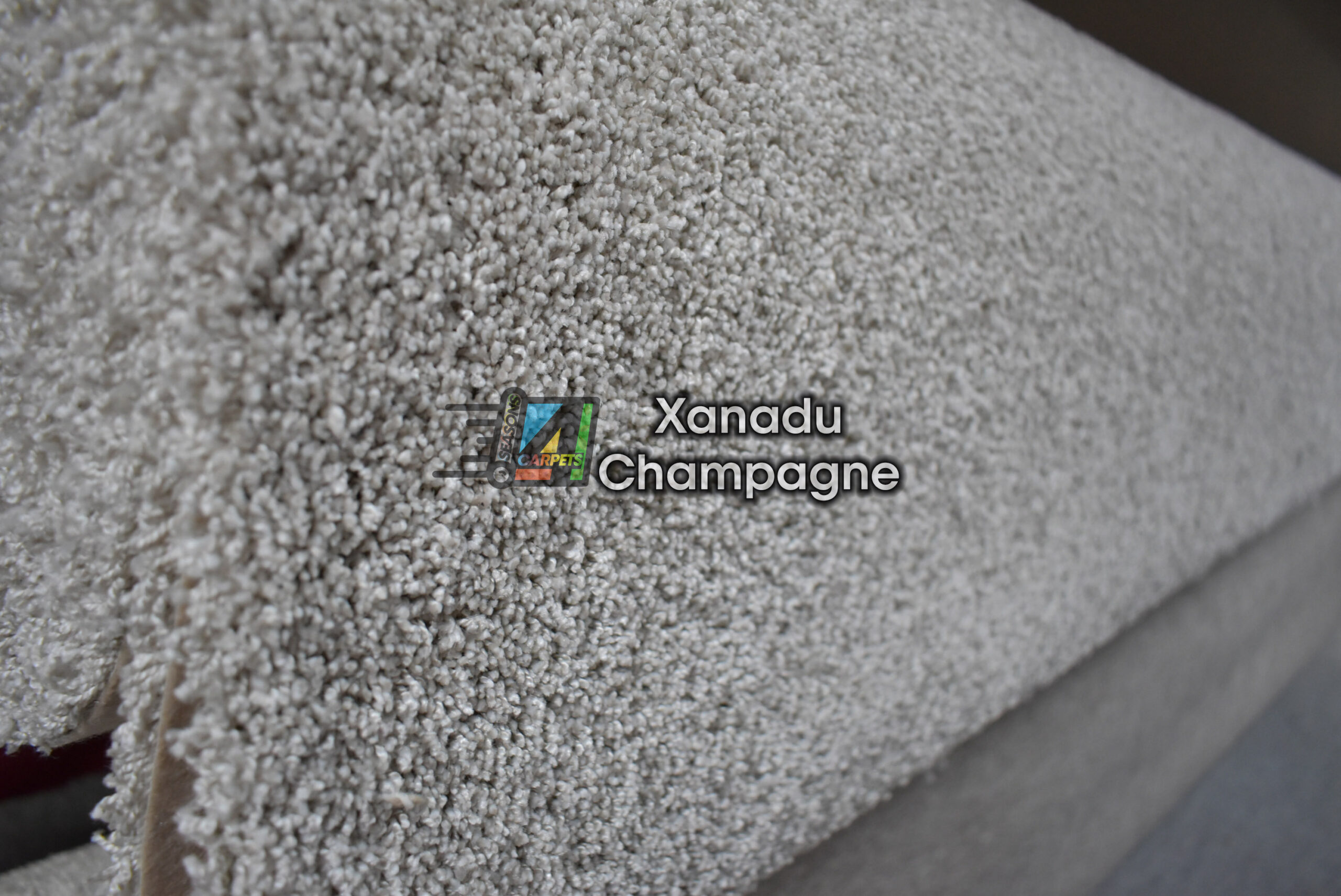 Clearance Alert – Saxony Carpets!